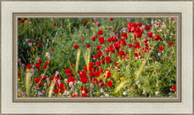 Load image into Gallery viewer, Plate 3 - Poppy Mix Judean Wilderness