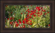 Load image into Gallery viewer, Plate 3 - Poppy Mix Judean Wilderness