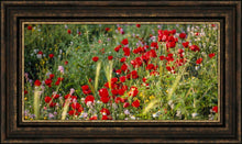 Load image into Gallery viewer, Plate 3 - Poppy Mix Judean Wilderness