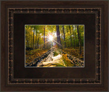 Load image into Gallery viewer, Plate 4 - Suddenly a Light Descended!