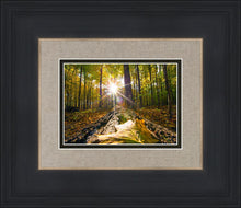 Load image into Gallery viewer, Plate 4 - Suddenly a Light Descended!