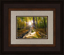 Load image into Gallery viewer, Plate 4 - Suddenly a Light Descended!