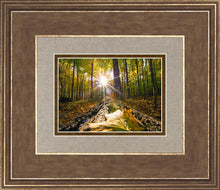 Load image into Gallery viewer, Plate 4 - Suddenly a Light Descended!