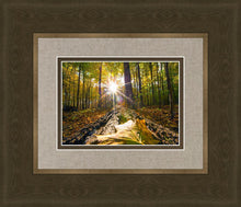Load image into Gallery viewer, Plate 4 - Suddenly a Light Descended!