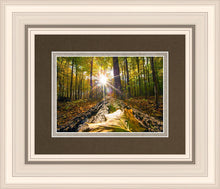 Load image into Gallery viewer, Plate 4 - Suddenly a Light Descended!