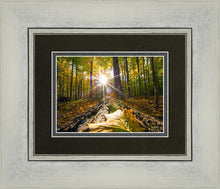 Load image into Gallery viewer, Plate 4 - Suddenly a Light Descended!