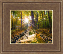 Load image into Gallery viewer, Plate 4 - Suddenly a Light Descended!