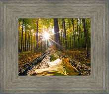 Load image into Gallery viewer, Plate 4 - Suddenly a Light Descended!