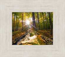 Load image into Gallery viewer, Plate 4 - Suddenly a Light Descended!