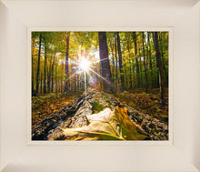 Load image into Gallery viewer, Plate 4 - Suddenly a Light Descended!