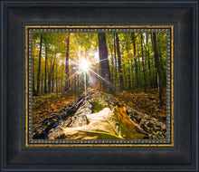 Load image into Gallery viewer, Plate 4 - Suddenly a Light Descended!