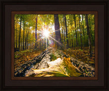 Load image into Gallery viewer, Plate 4 - Suddenly a Light Descended!