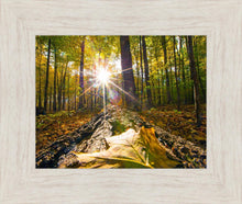 Load image into Gallery viewer, Plate 4 - Suddenly a Light Descended!