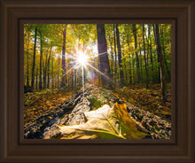 Load image into Gallery viewer, Plate 4 - Suddenly a Light Descended!