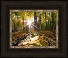 Load image into Gallery viewer, Plate 4 - Suddenly a Light Descended!