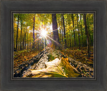 Load image into Gallery viewer, Plate 4 - Suddenly a Light Descended!