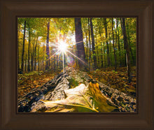 Load image into Gallery viewer, Plate 4 - Suddenly a Light Descended!