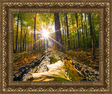 Load image into Gallery viewer, Plate 4 - Suddenly a Light Descended!