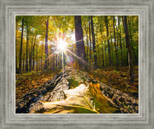 Load image into Gallery viewer, Plate 4 - Suddenly a Light Descended!
