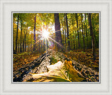 Load image into Gallery viewer, Plate 4 - Suddenly a Light Descended!