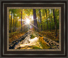 Load image into Gallery viewer, Plate 4 - Suddenly a Light Descended!