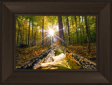 Load image into Gallery viewer, Plate 4 - Suddenly a Light Descended!