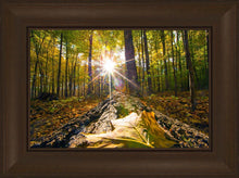 Load image into Gallery viewer, Plate 4 - Suddenly a Light Descended!