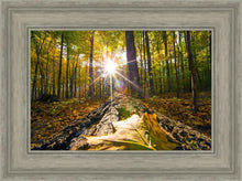 Load image into Gallery viewer, Plate 4 - Suddenly a Light Descended!
