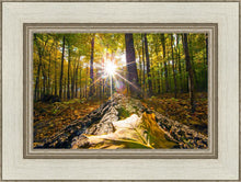 Load image into Gallery viewer, Plate 4 - Suddenly a Light Descended!