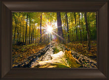 Load image into Gallery viewer, Plate 4 - Suddenly a Light Descended!