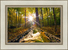 Load image into Gallery viewer, Plate 4 - Suddenly a Light Descended!