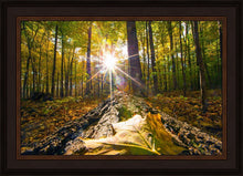 Load image into Gallery viewer, Plate 4 - Suddenly a Light Descended!