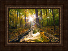 Load image into Gallery viewer, Plate 4 - Suddenly a Light Descended!