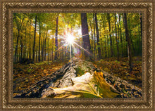 Load image into Gallery viewer, Plate 4 - Suddenly a Light Descended!