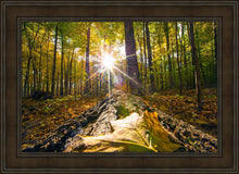 Load image into Gallery viewer, Plate 4 - Suddenly a Light Descended!