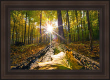Load image into Gallery viewer, Plate 4 - Suddenly a Light Descended!