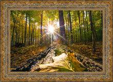Load image into Gallery viewer, Plate 4 - Suddenly a Light Descended!