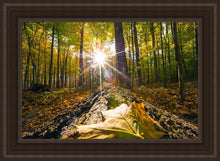 Load image into Gallery viewer, Plate 4 - Suddenly a Light Descended!