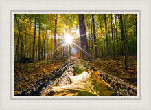 Load image into Gallery viewer, Plate 4 - Suddenly a Light Descended!