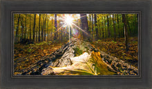 Load image into Gallery viewer, Plate 4 - Suddenly a Light Descended!