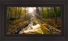 Load image into Gallery viewer, Plate 4 - Suddenly a Light Descended!