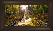 Load image into Gallery viewer, Plate 4 - Suddenly a Light Descended!