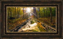 Load image into Gallery viewer, Plate 4 - Suddenly a Light Descended!