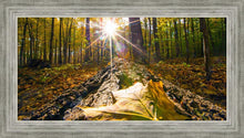Load image into Gallery viewer, Plate 4 - Suddenly a Light Descended!