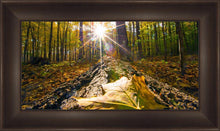 Load image into Gallery viewer, Plate 4 - Suddenly a Light Descended!