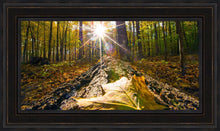 Load image into Gallery viewer, Plate 4 - Suddenly a Light Descended!