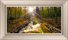 Load image into Gallery viewer, Plate 4 - Suddenly a Light Descended!
