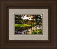 Load image into Gallery viewer, Plate 4 - Downham Spring Brook at Sunset