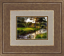 Load image into Gallery viewer, Plate 4 - Downham Spring Brook at Sunset