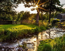 Load image into Gallery viewer, Plate 4 - Downham Spring Brook at Sunset